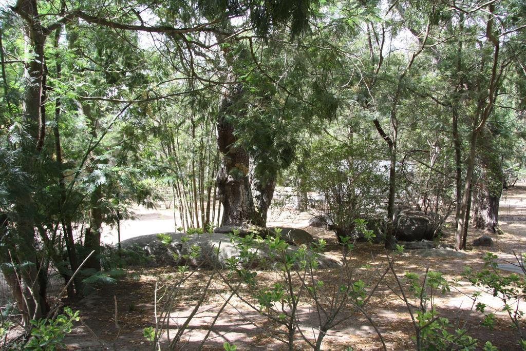 Camping Les Ilots D'Or Porto-Vecchio  Buitenkant foto